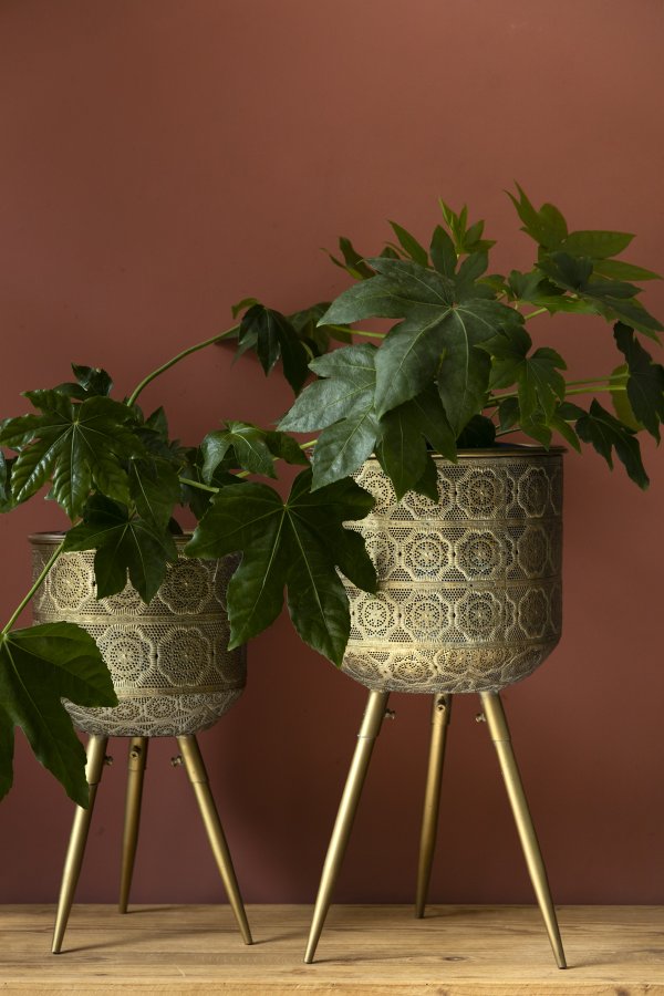 DUTCHBONE Botanisk urtepotteskjuler L - messing jern