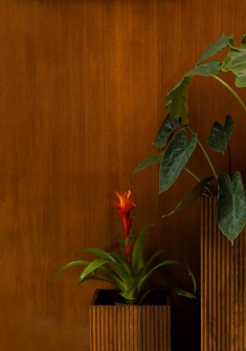 DUTCHBONE Ribble urtepotteskjuler, kvadratisk - valnddefarvet mangotr (st med 2)