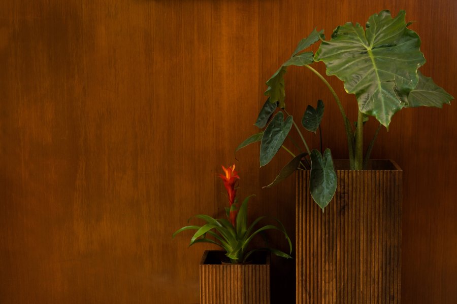 DUTCHBONE Ribble urtepotteskjuler, kvadratisk - valnddefarvet mangotr (st med 2)