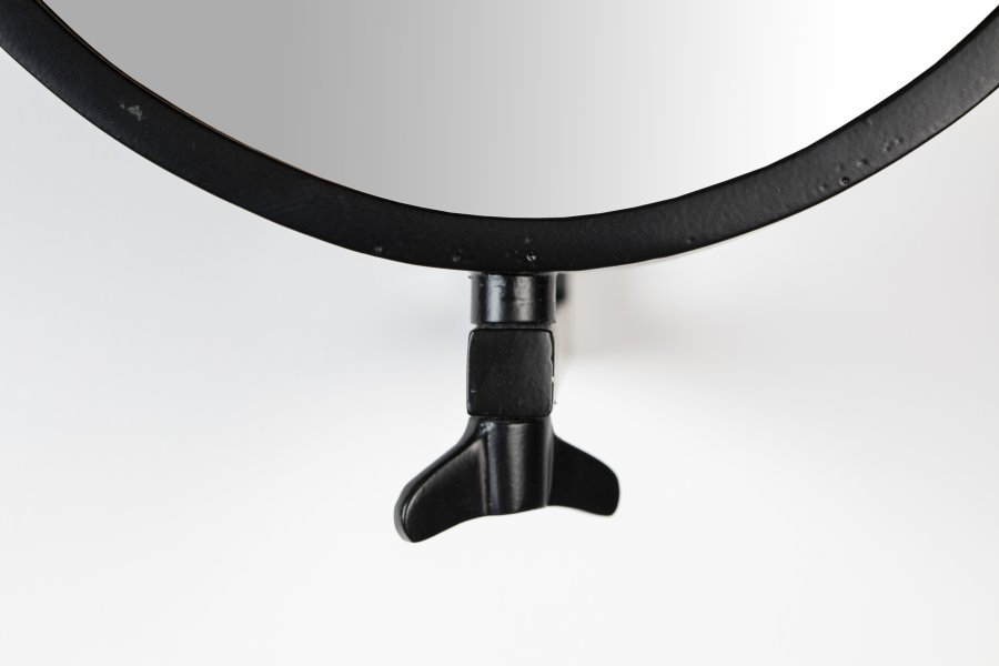 WHITE LABEL LIVING Lara vgspejl, oval - spejlglas og sort jern (48x34)