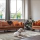 BEPUREHOME Rodeo lnestol - cognac stof