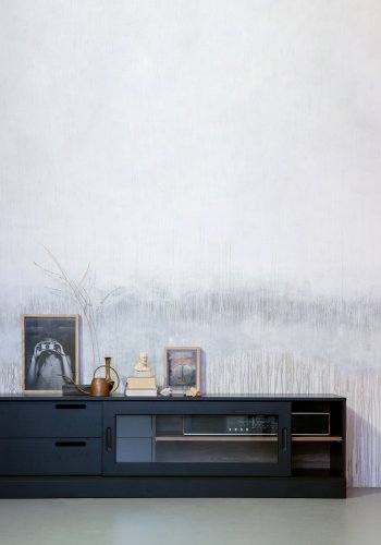 WOOOD EXCLUSIVE James TV-bord, m. 1 skydelge og 2 skuffer - glas, sort fyrretr og valnddeprint