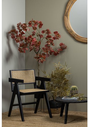 WOOOD EXCLUSIVE Gunn spisebordsstol, m. armln - natur rattan og sort fyrretr