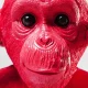 KARE DESIGN Monkey Kikazaru sparebsse - rd polyresin (H:35)