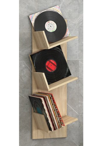 Sulda LP vghylde, m. plads til 100 LP-er - natur tr