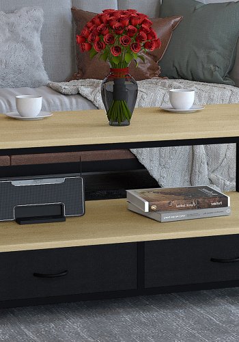 VCM NORDIC Flonila sofabord, m. 1 bent rum og 2 stofskuffer - natur tr og metal (100x50)