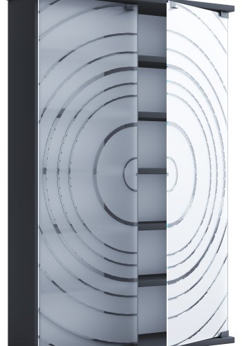 VCM NORDIC Tilano L reol til cd'ere og dvd'er, m. 2 glaslger og 10 hylder - antracitgr tr