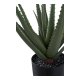 HOUSE NORDIC Aloe Vera kunstig plante - grn PE plastik (H:51cm)
