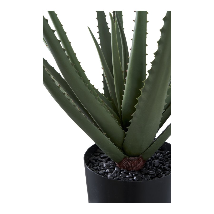 HOUSE NORDIC Aloe Vera kunstig plante - grn PE plastik (H:51cm)