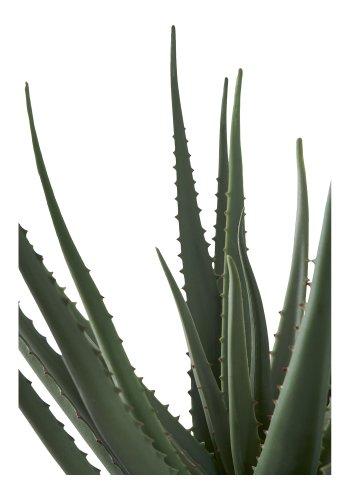 HOUSE NORDIC Aloe Vera kunstig plante - grn PE plastik (H:51cm)