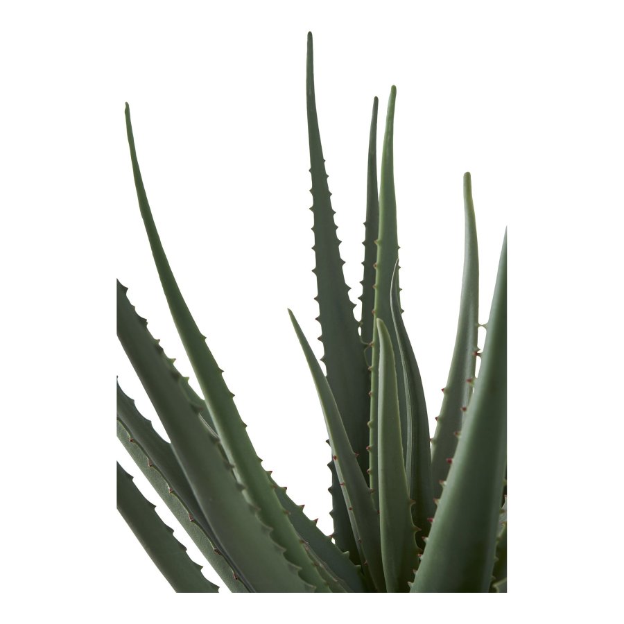 HOUSE NORDIC Aloe Vera kunstig plante - grn PE plastik (H:51cm)