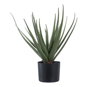 HOUSE NORDIC Aloe Vera kunstig plante - grn PE plastik (H:51cm)