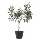HOUSE NORDIC Oliventr kunstig plante - grn PE plastik (H:61cm)