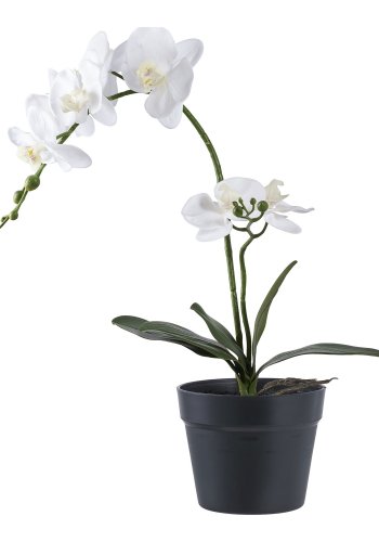 HOUSE NORDIC Orkidé kunstig plante - hvid og grn PE plastik (H:49cm)