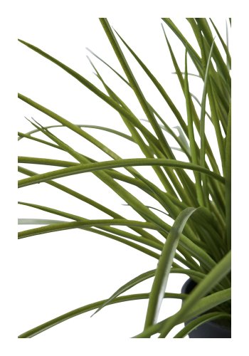 HOUSE NORDIC Grs kunstig plante - grn PE plastik (H:45cm)