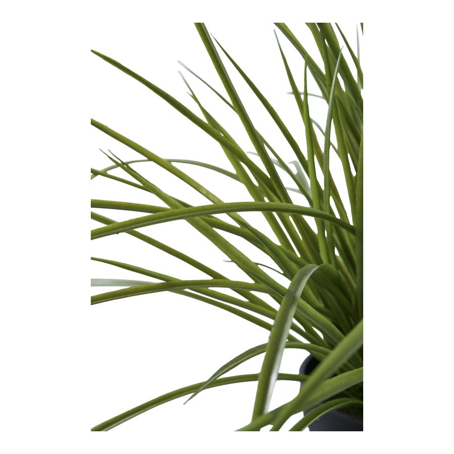 HOUSE NORDIC Grs kunstig plante - grn PE plastik (H:45cm)