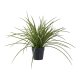 HOUSE NORDIC Grs kunstig plante - grn PE plastik (H:45cm)