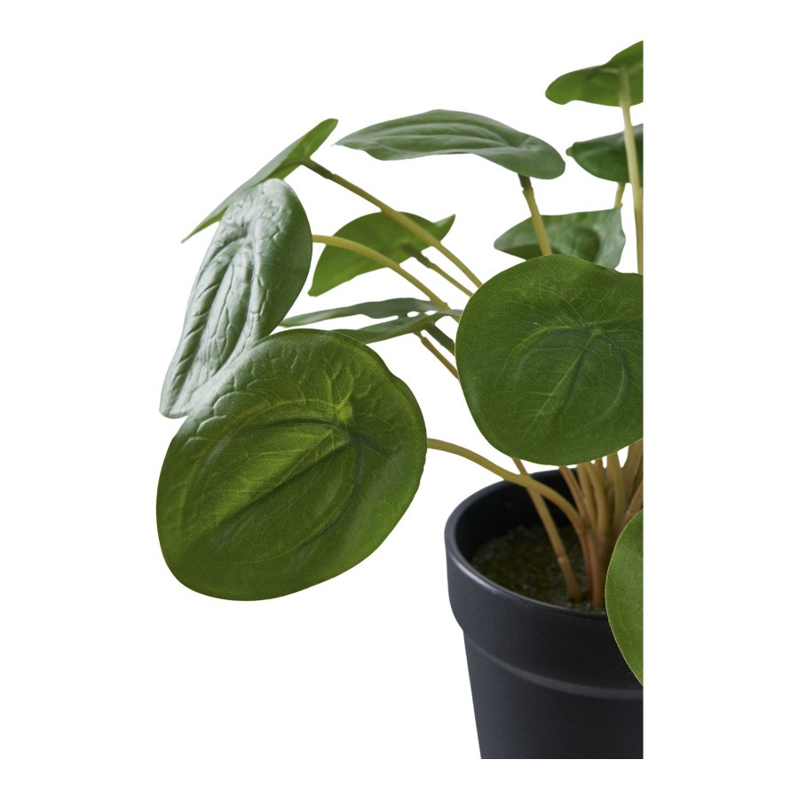 HOUSE NORDIC Pelia kunstig plante - grn PE plastik (H:28cm)