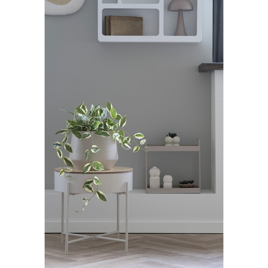 HOUSE NORDIC Voksblomst kunstig plante - grn PE plastik (H:33cm)