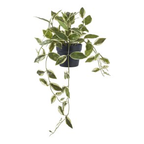 HOUSE NORDIC Voksblomst kunstig plante - grn PE plastik (H:33cm)