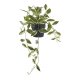 HOUSE NORDIC Voksblomst kunstig plante - grn PE plastik (H:33cm)