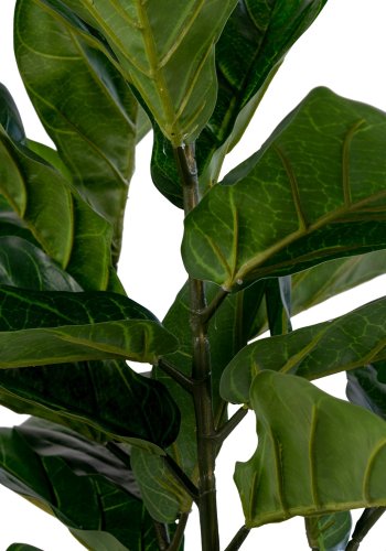 HOUSE NORDIC kunstig violinfigen plante - grn plastik (H:100)