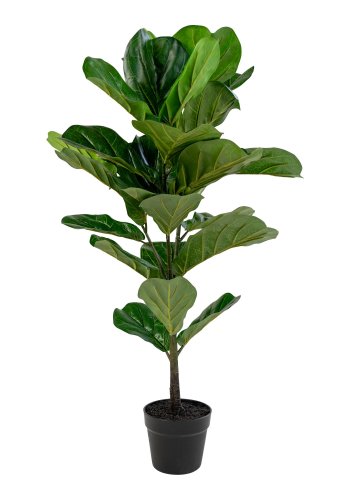 HOUSE NORDIC kunstig violinfigen plante - grn plastik (H:100)