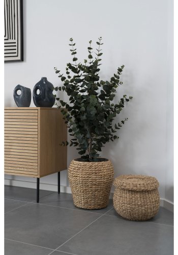 HOUSE NORDIC Eukalyptus tr kunstig plante - grn PE plastik, polyester, stltrd, cement (H:120cm)