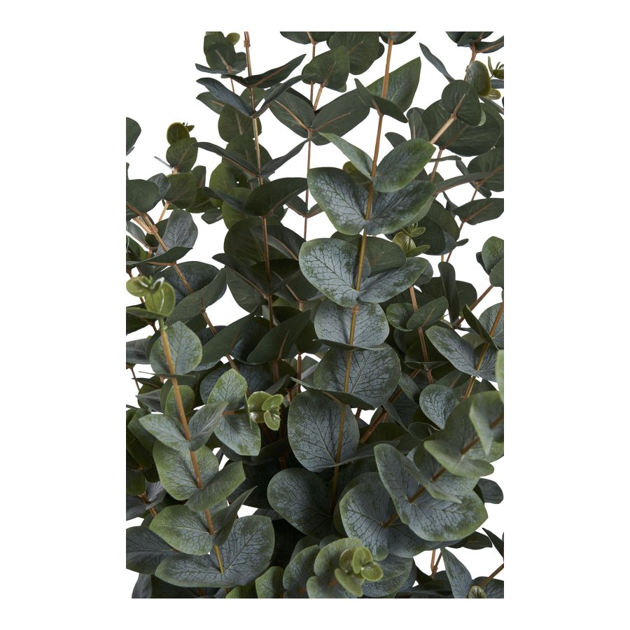 HOUSE NORDIC Eukalyptus tr kunstig plante - grn PE plastik, polyester, stltrd, cement (H:120cm)