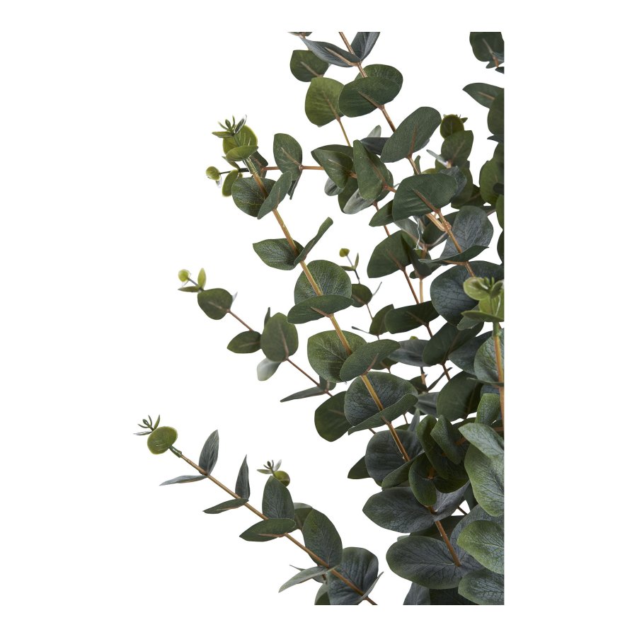HOUSE NORDIC Eukalyptus tr kunstig plante - grn PE plastik, polyester, stltrd, cement (H:120cm)