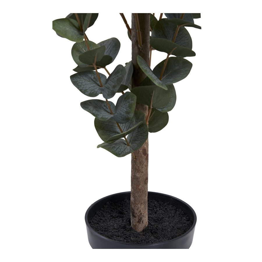 HOUSE NORDIC Eukalyptus tr kunstig plante - grn PE plastik, polyester, stltrd, cement (H:120cm)