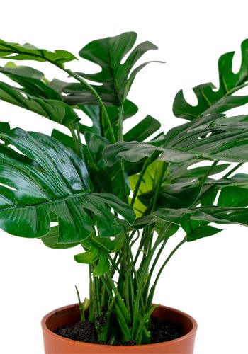 HOUSE NORDIC kunstig Monstera plante - grn plastik og polyester (H:45)