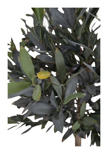 HOUSE NORDIC kunstig Oliventr - grn plastik og polyester (H:126)