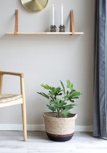 HOUSE NORDIC kunstig Figentr plante - grn plastik (H:53)