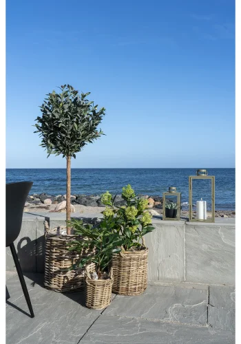 HOUSE NORDIC kunstig Skimmia Tr plante - grn plastik (H:75)
