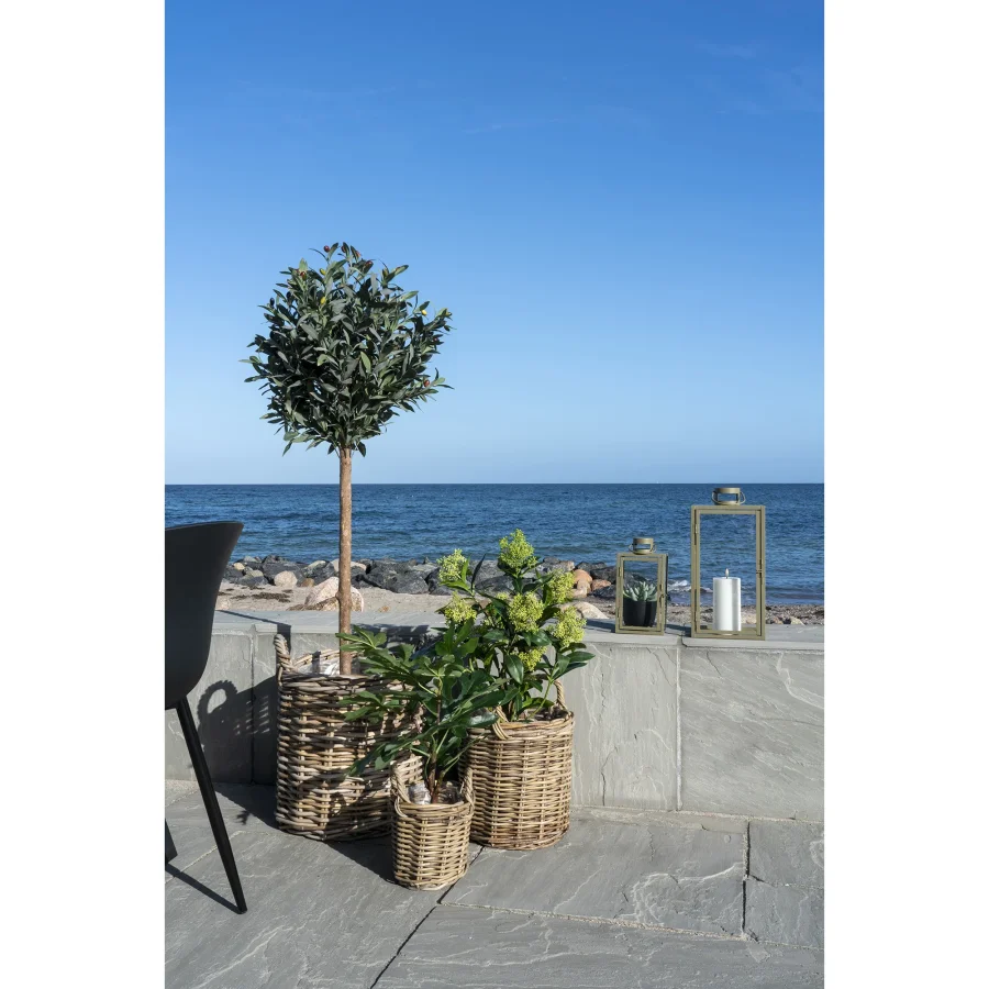 HOUSE NORDIC kunstig Skimmia Tr plante - grn plastik (H:75)