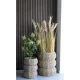 HOUSE NORDIC kunstig Skimmia Tr plante - grn plastik (H:75)