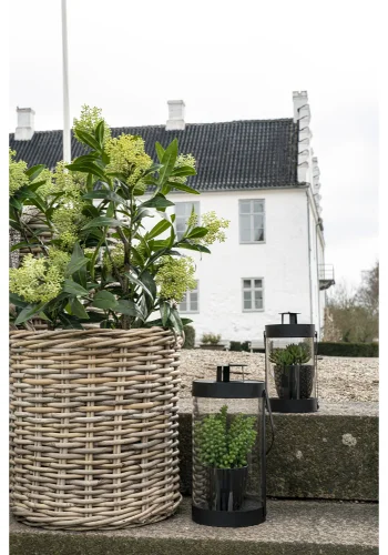 HOUSE NORDIC kunstig Skimmia Tr plante - grn plastik (H:75)