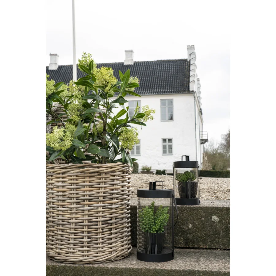 HOUSE NORDIC kunstig Skimmia Tr plante - grn plastik (H:75)