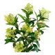 HOUSE NORDIC kunstig Skimmia Tr plante - grn plastik (H:75)