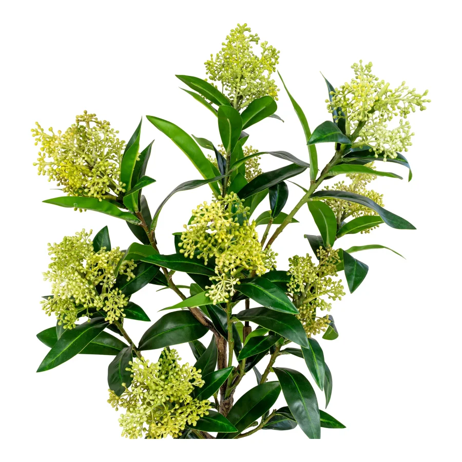 HOUSE NORDIC kunstig Skimmia Tr plante - grn plastik (H:75)