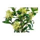 HOUSE NORDIC kunstig Skimmia Tr plante - grn plastik (H:75)