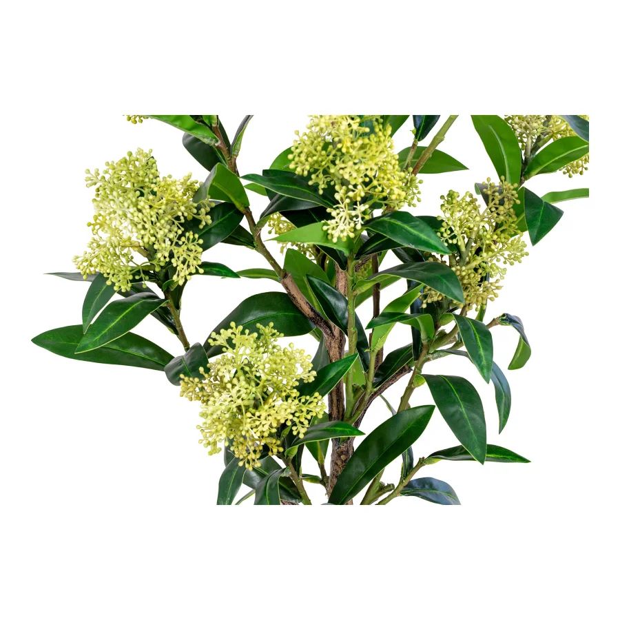 HOUSE NORDIC kunstig Skimmia Tr plante - grn plastik (H:75)