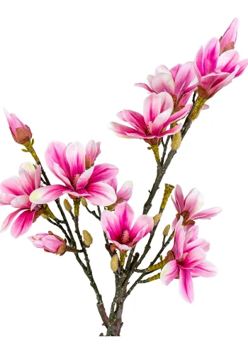 HOUSE NORDIC kunstig Magnoliatr plante - grn og rosa plastik (H:75)