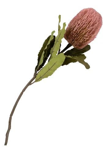 HOUSE NORDIC King Protea buket kunstige blomster, mix - rosa plastik (H:74)