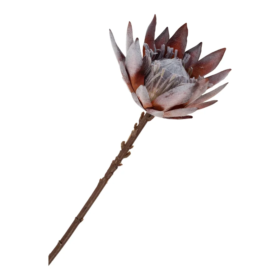 HOUSE NORDIC King Protea buket kunstige blomster, mix - rosa plastik (H:74)