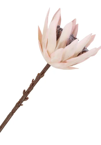 HOUSE NORDIC King Protea buket kunstige blomster, mix - bordeaux plastik (H:65)