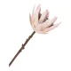 HOUSE NORDIC King Protea buket kunstige blomster, mix - bordeaux plastik (H:65)