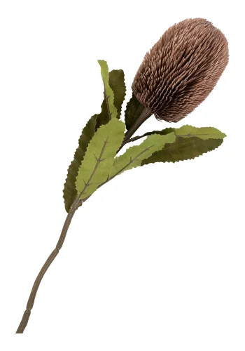 HOUSE NORDIC King Protea buket kunstige blomster, mix - bordeaux plastik (H:65)