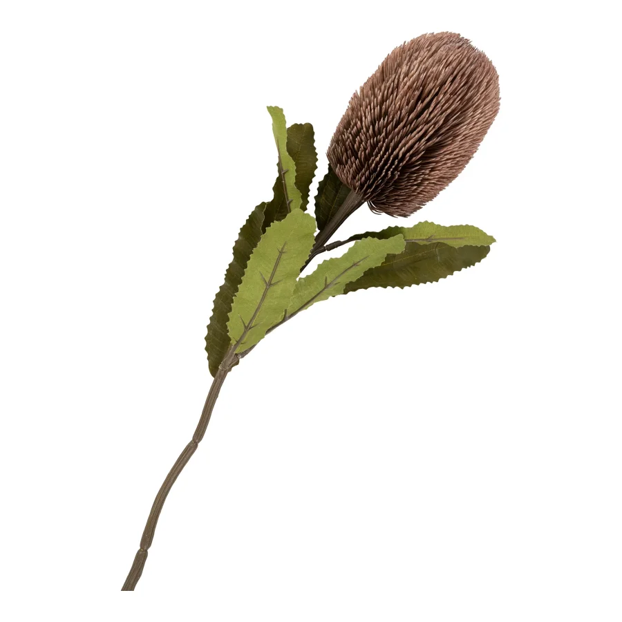 HOUSE NORDIC King Protea buket kunstige blomster, mix - bordeaux plastik (H:65)